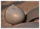 Thumbnail-10