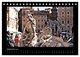 Thumbnail-11