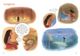 Thumbnail-8