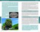 Thumbnail-11