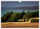 Thumbnail-11