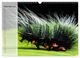 Thumbnail-14