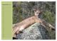 Thumbnail-11