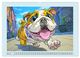 Thumbnail-4