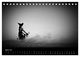 Thumbnail-9