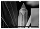 Thumbnail-11