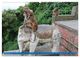 Thumbnail-14