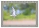Thumbnail-12