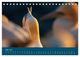Thumbnail-11