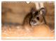 Thumbnail-11