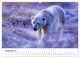 Thumbnail-14