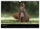 Thumbnail-13