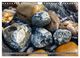 Thumbnail-11