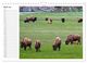 Thumbnail-9