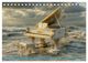 Thumbnail-13
