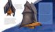 Thumbnail-4