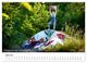 Thumbnail-9
