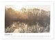 Thumbnail-14