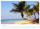 Thumbnail-10