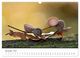 Thumbnail-13