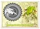 Thumbnail-9