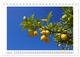 Thumbnail-13