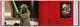 Thumbnail-14