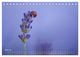 Thumbnail-11