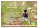 Thumbnail-12