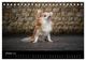 Thumbnail-12