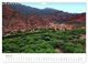 Thumbnail-10