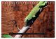 Thumbnail-8