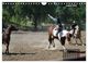 Thumbnail-13