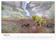 Thumbnail-13