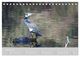 Thumbnail-13