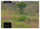 Thumbnail-12