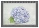 Thumbnail-11