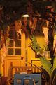 Thumbnail-8