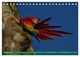 Thumbnail-13