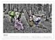 Thumbnail-11