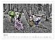 Thumbnail-12