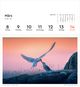 Thumbnail-8