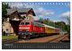 Thumbnail-13