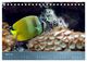 Thumbnail-9