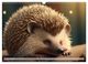 Thumbnail-8