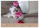 Thumbnail-9