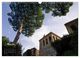 Thumbnail-8