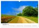 Thumbnail-14