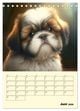 Thumbnail-11