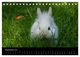 Thumbnail-11